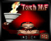 PB Torch W/Actions M/F