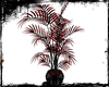 Red Black Plant I