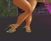 TALON ETOILES