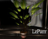 PURE Plant 2