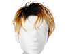 Damien Honey