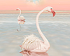 T- Flamingos