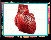 e Heart ReaL Animated