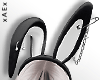 ▲🐰 BUNNY EARS