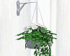 ( hanging flower pot )