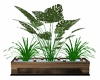 Planter with Plants (BD)