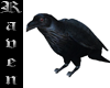 Farm Raven