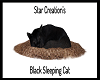 Black Sleeping Cat