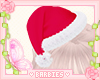 Santa Hat Red