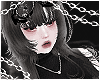 🌙 Jelly