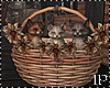 Autumn Kitten Basket Cat