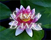 Sasha Banks' Badge