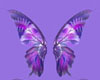 ]~' Butterfly Wings