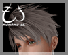 Jin Silver