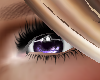 purple Haze eyes 2023