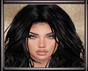 *L* Maire Black DRV