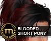 SIB - Blooded Short Pony
