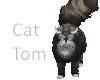 Cat Tom