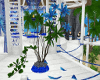 Blue Lagoon Plant