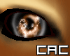 [C.A.C] Roxs Male Eyes