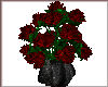 Valentine Red Roses