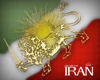 ! IRAN Flag Poster