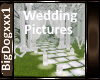 [BD]WeddingPicture