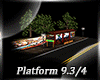 DM* Platform 9.3/4 Room