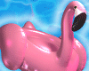 Flamingo Floater