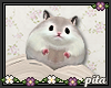 pale hamster