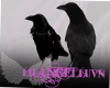 [Filler]Raven/Crow