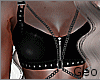 Albina Bundle_v2