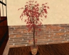 House Plant V