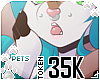 [Pets] 35k support