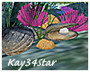 Sea Oyster & Pearl Decor