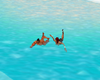 accion nadar duo