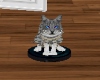 Roomba Cat
