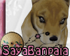 [SB] Kawaii Dog Pet