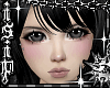 â§ genova + lash