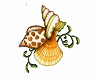 Sea Shells Pic