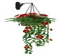 HANGING RED FLOWERS