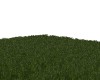 thick grass