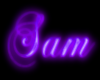 Sam Neon Flashing Sign