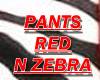 Pants red n zebra