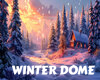 Winter dome