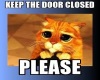 Cats, close door
