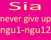 sia never give up