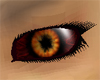 [TET] female demon eyes