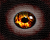 [VGP]Dragon Fire Eyes M