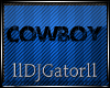 -G- Cowboy